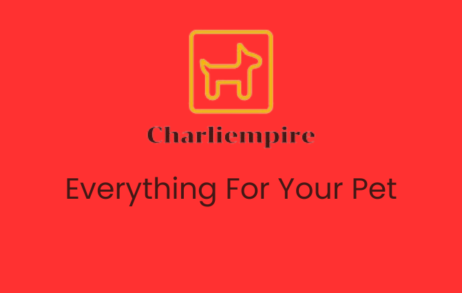 Charliempire, A Pet Shop!